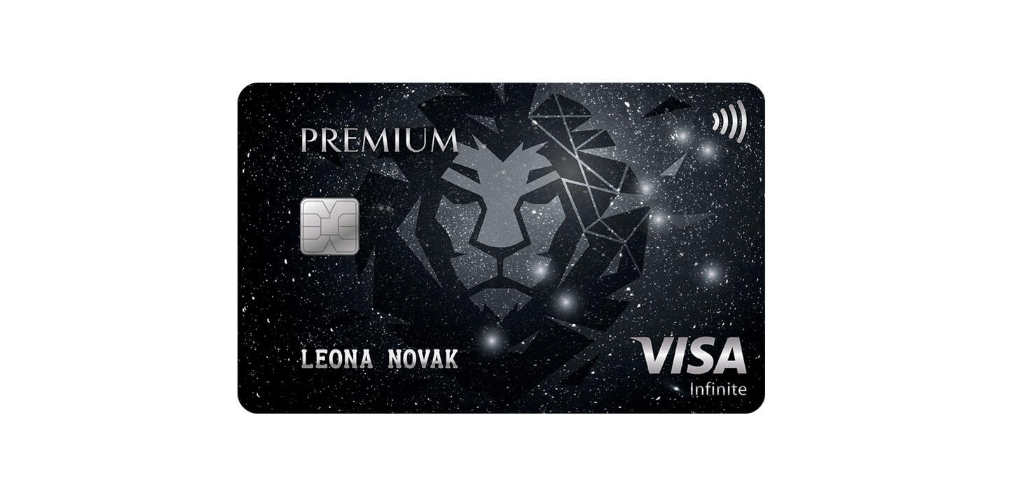 Premium Visa Infinite - osnovna kartica